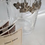 Secchiello Ghiaccio Hippokampos